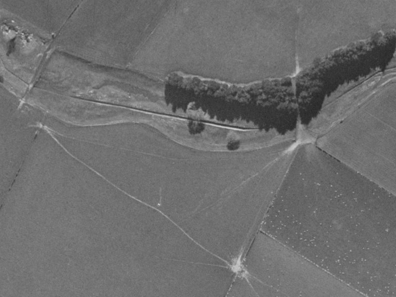 42 Coppinger Terrace from the air, 1970-1974
