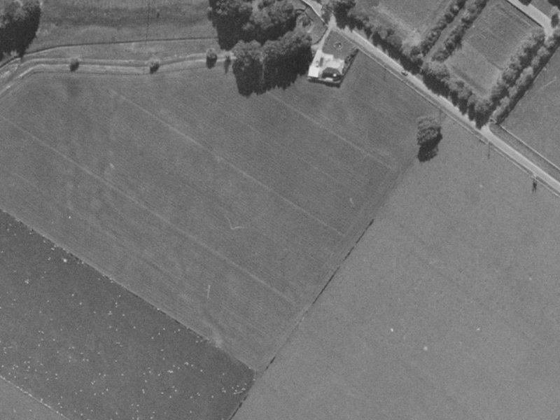 8 Coppinger Terrace from the air, 1970-1974