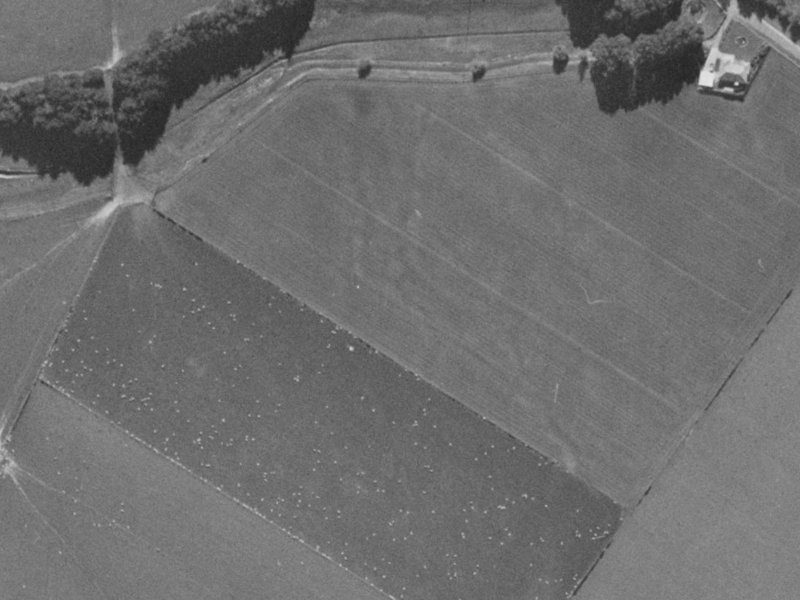 Coppinger Terrace from the air, 1970-1974