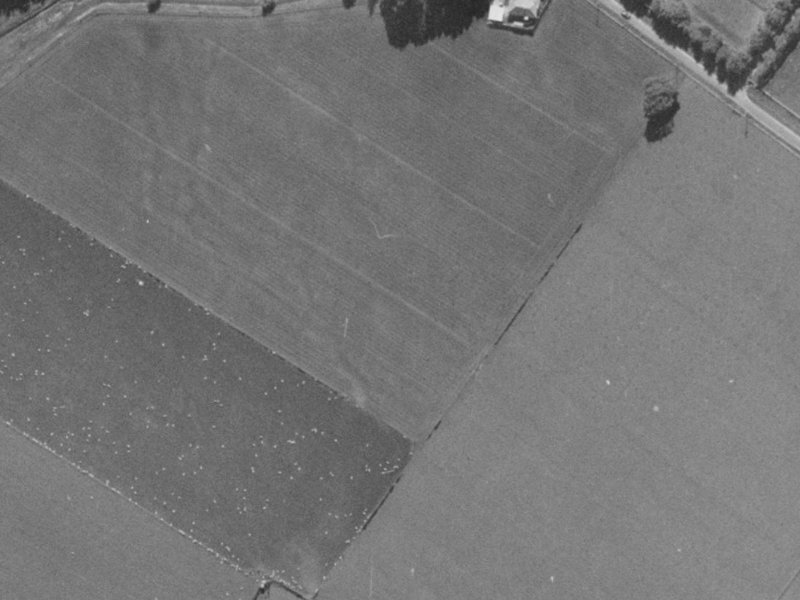 10 Coppinger Terrace from the air, 1970-1974