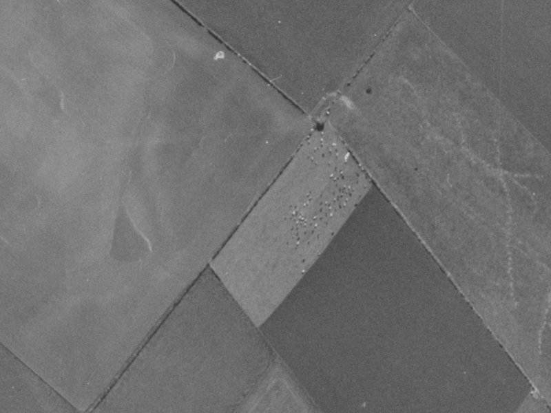 4 Aberdare Street from the air, 1970-1974