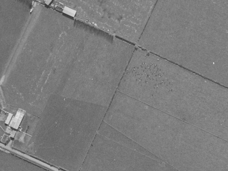 21 Te Repo Drive from the air, 1970-1974