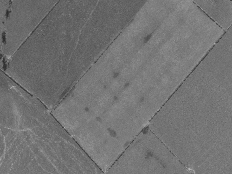 24 Hamill Road from the air, 1970-1974