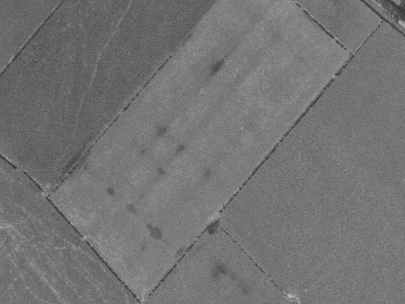 Hamill Road from the air, 1970-1974