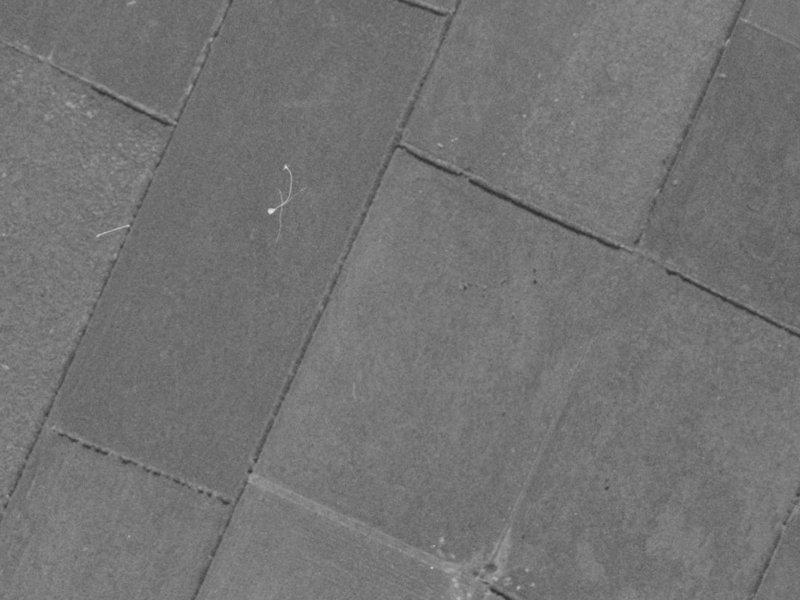 81 Skibbereen Drive from the air, 1970-1974