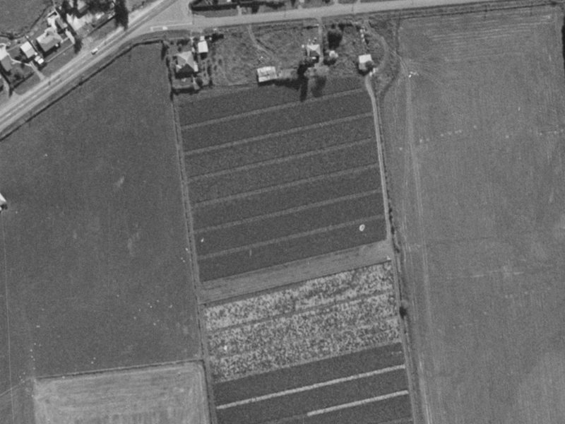 13 Jack Rogers Road from the air, 1970-1974
