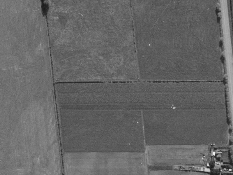 2 Riroriro Lane from the air, 1970-1974