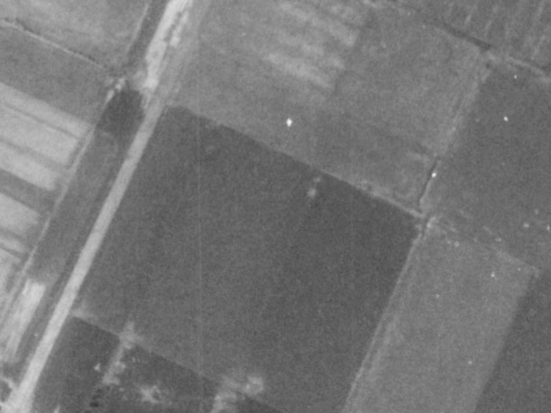 12 Treedale Street from the air, 1975-1979
