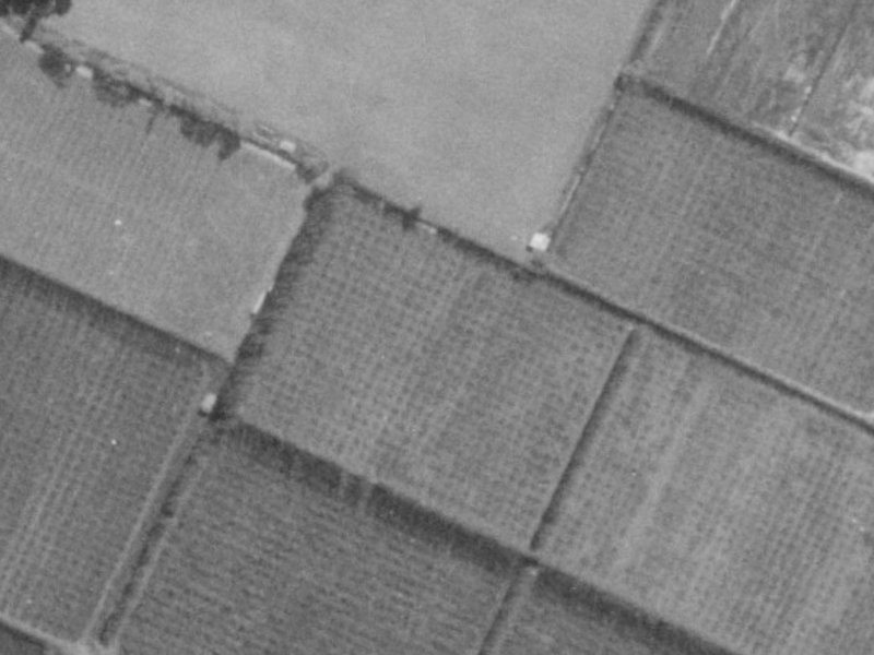 36 Mounter Avenue from the air, 1975-1979