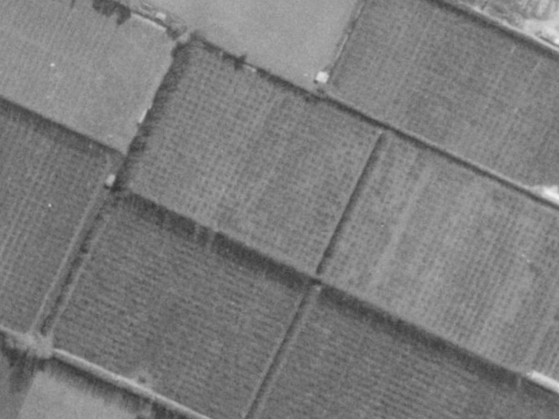 8 Bering Street from the air, 1975-1979