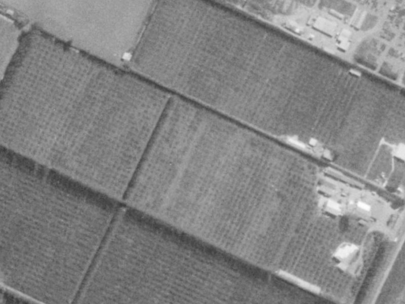 22 Mounter Avenue from the air, 1975-1979