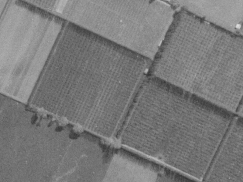 43 Mounter Avenue from the air, 1975-1979