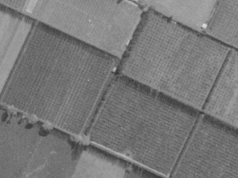 8 Ross Place from the air, 1975-1979