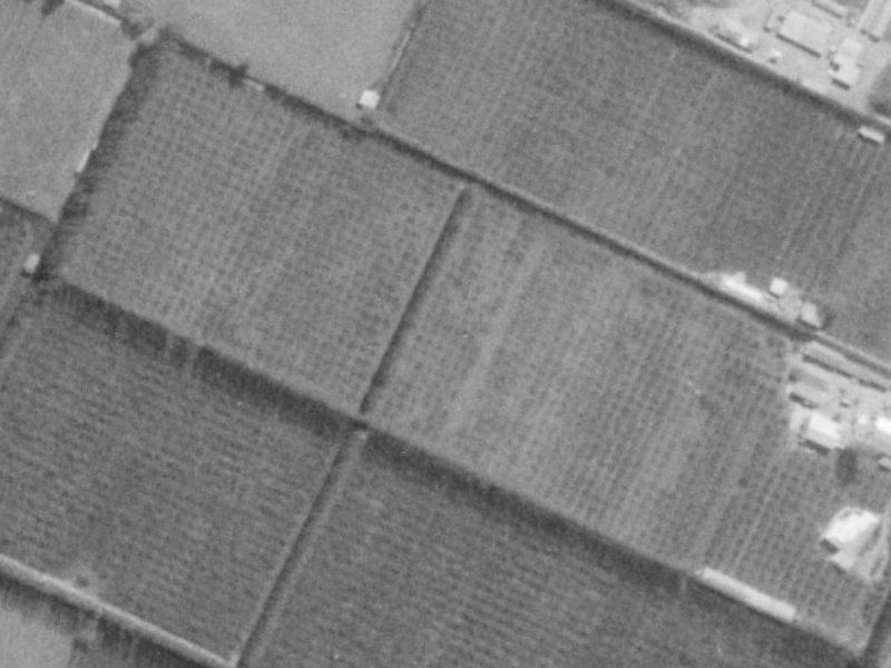 Mounter Avenue from the air, 1975-1979