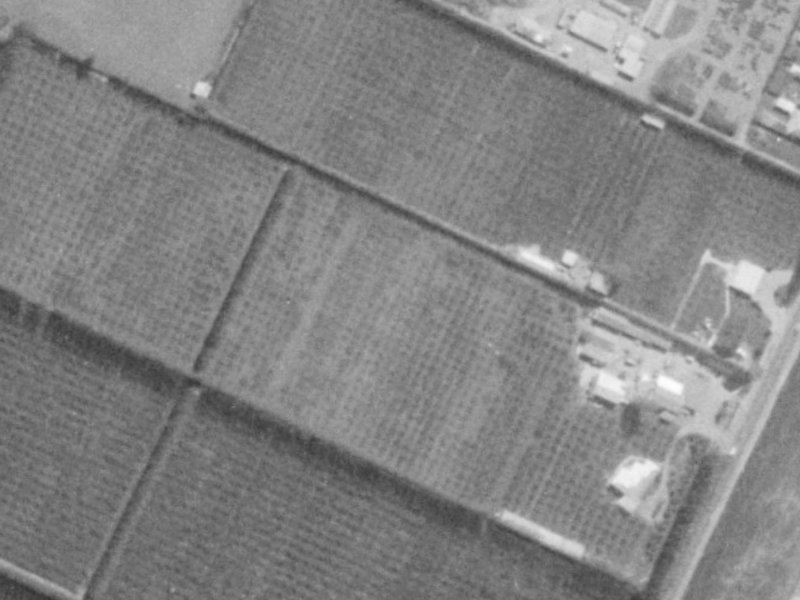 20 Mounter Avenue from the air, 1975-1979