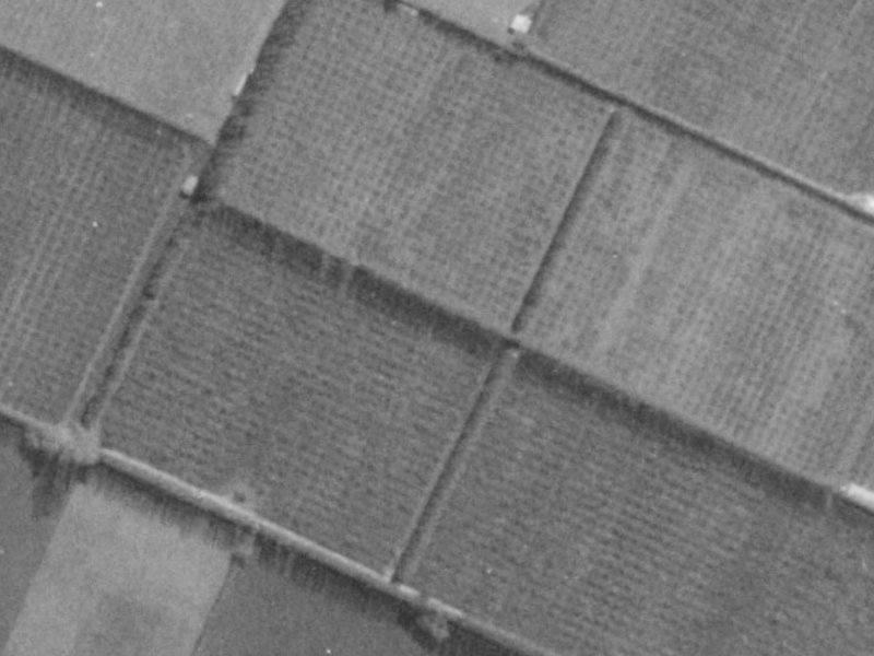 4 Bering Street from the air, 1975-1979