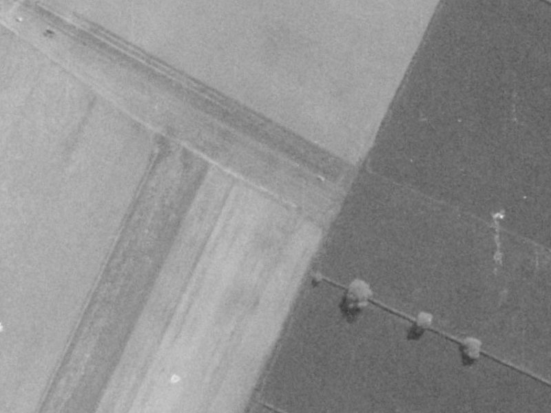 6 June Gardens from the air, 1975-1979