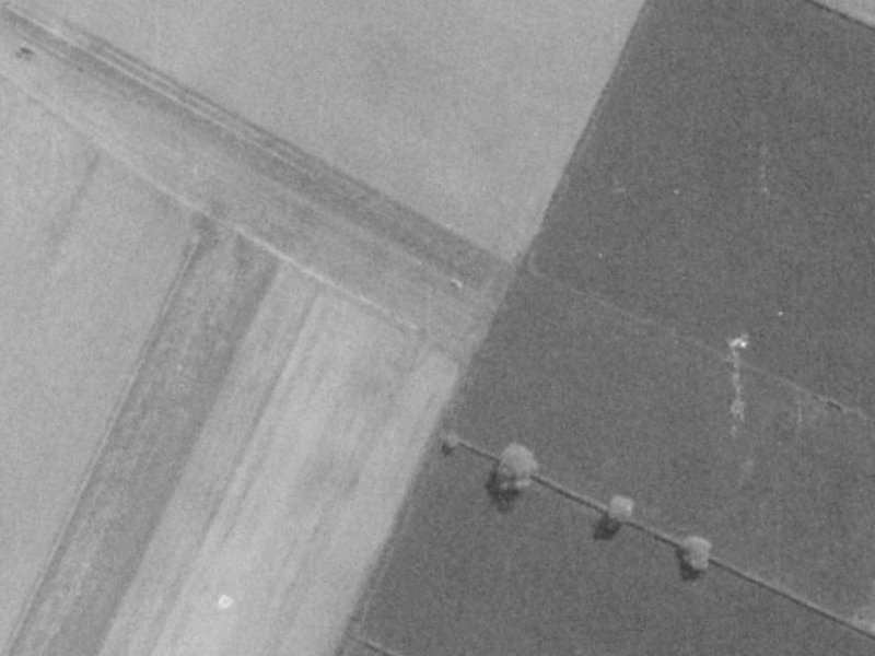 4 June Gardens from the air, 1975-1979