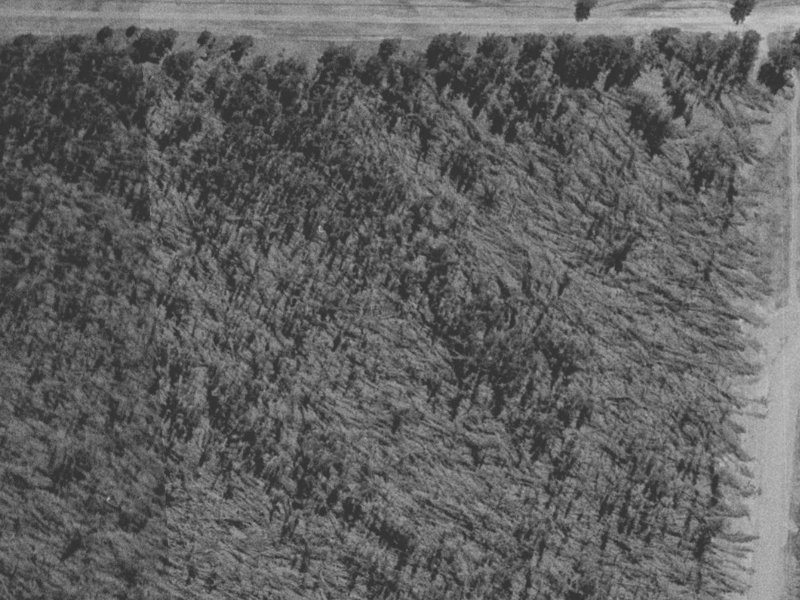842–850 McLeans Island Road from the air, 1975-1979