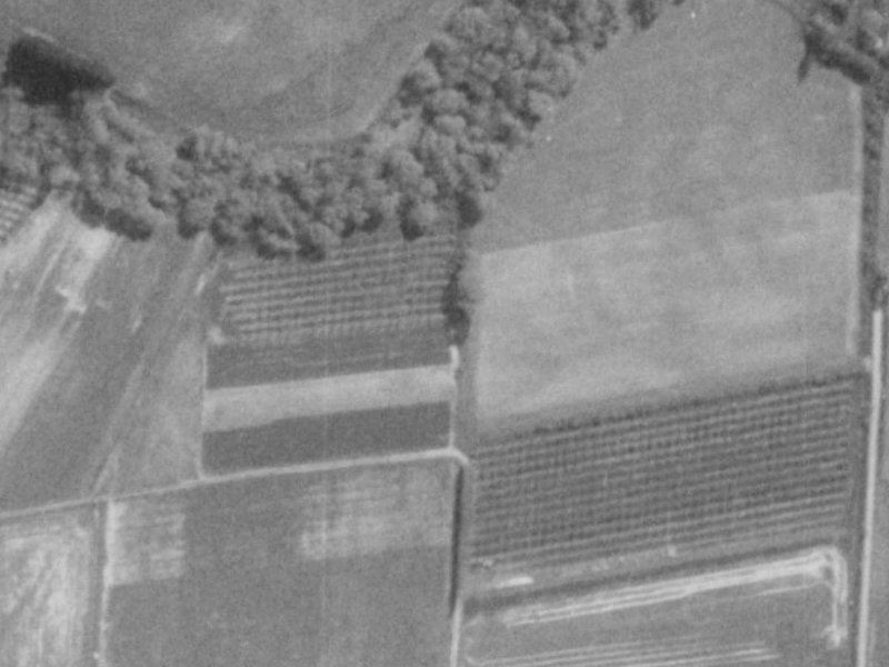 44 Willowview Drive from the air, 1975-1979