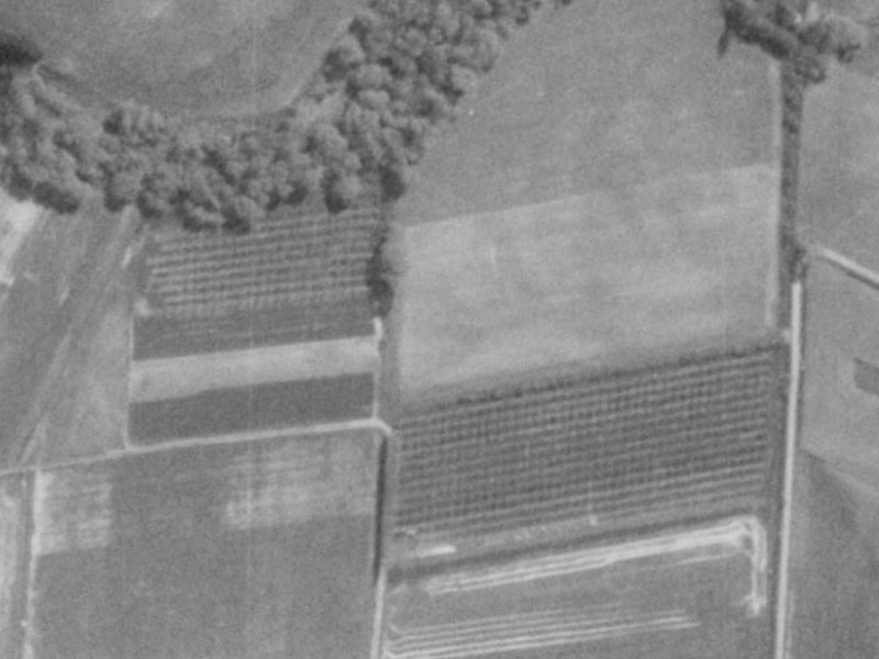 Willowview Drive from the air, 1975-1979