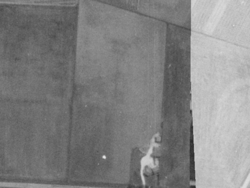 Gingko Lane from the air, 1975-1979