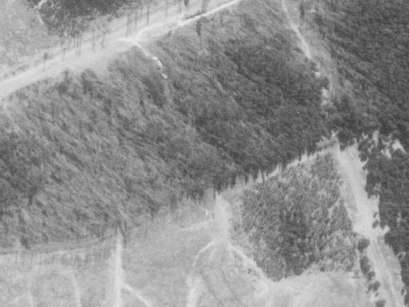 71 Putake Drive from the air, 1975-1979