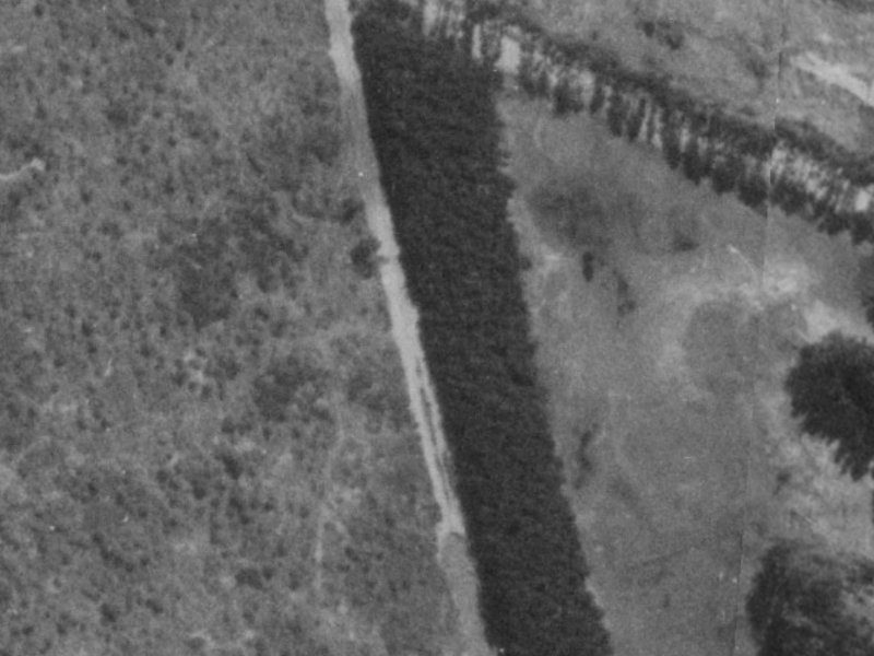 556 Bower Avenue from the air, 1975-1979