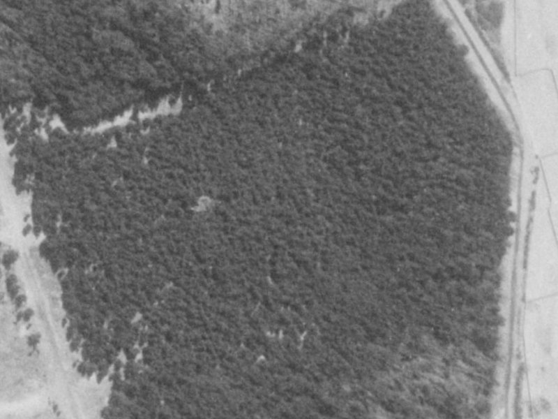 38 Titirangi Crescent from the air, 1975-1979