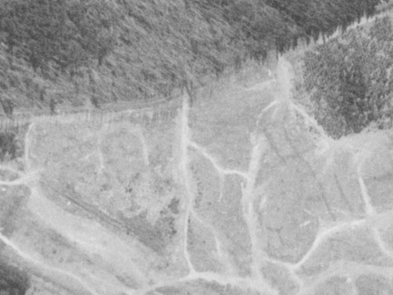25 Papaumu Green from the air, 1975-1979