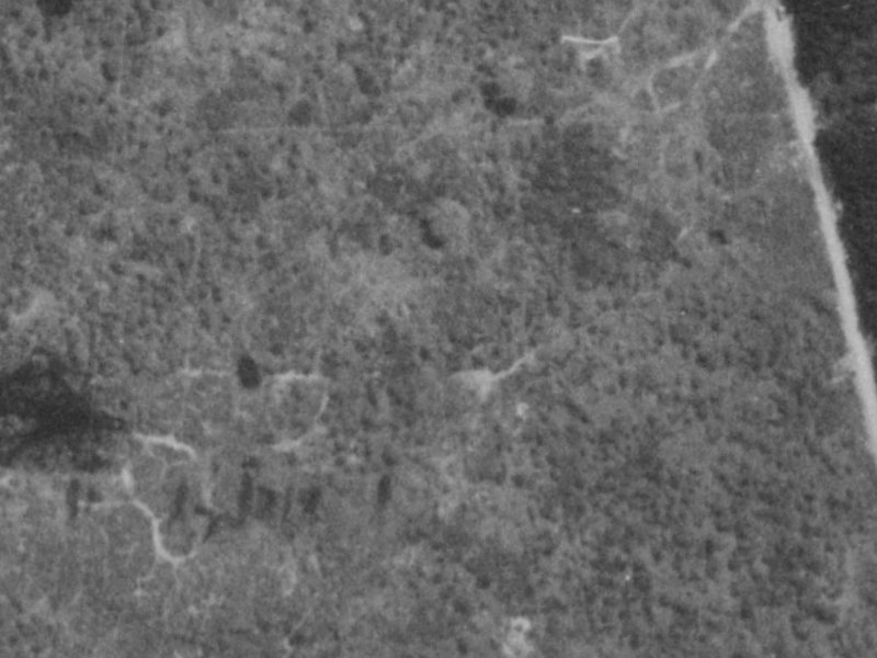 3 Corsican Grove from the air, 1975-1979