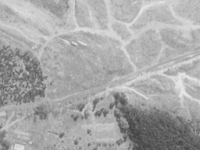41 Pohutukawa Crescent from the air, 1975-1979