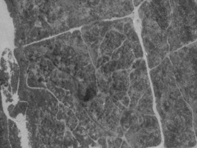 101 Aston Drive from the air, 1975-1979