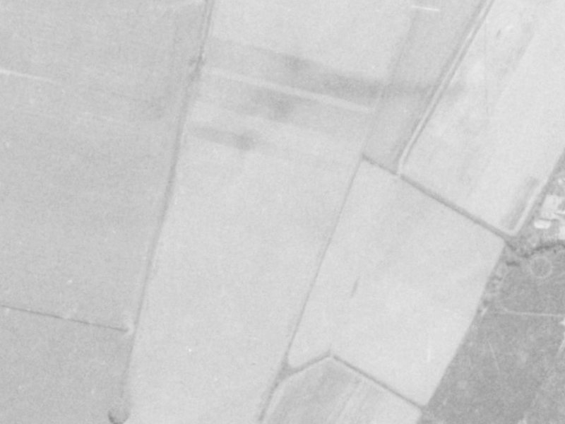 6 Benmore Gardens from the air, 1975-1979
