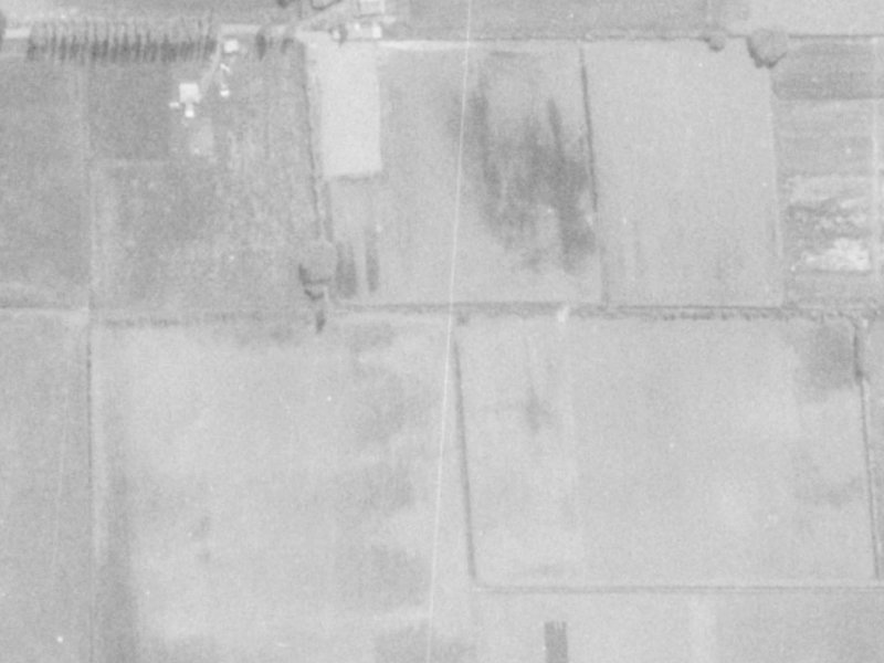 58 Cameo Grove from the air, 1975-1979
