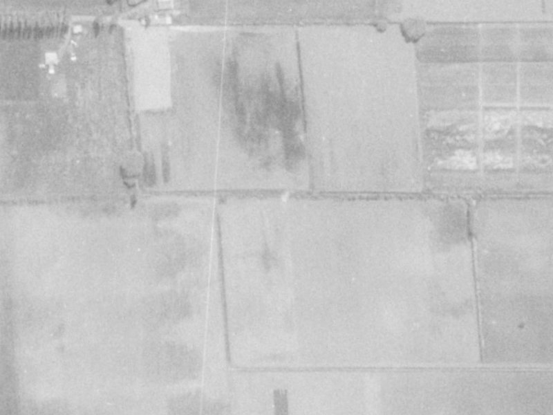58 Cameo Grove from the air, 1975-1979