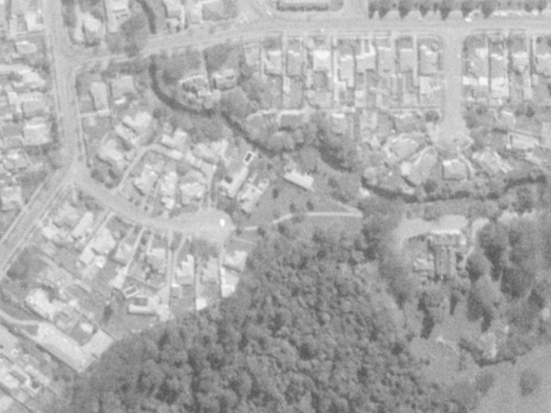 19 Ngahere Street from the air, 1975-1979