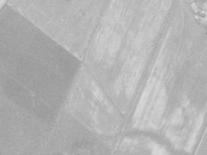 1 Fauna Street from the air, 1975-1979