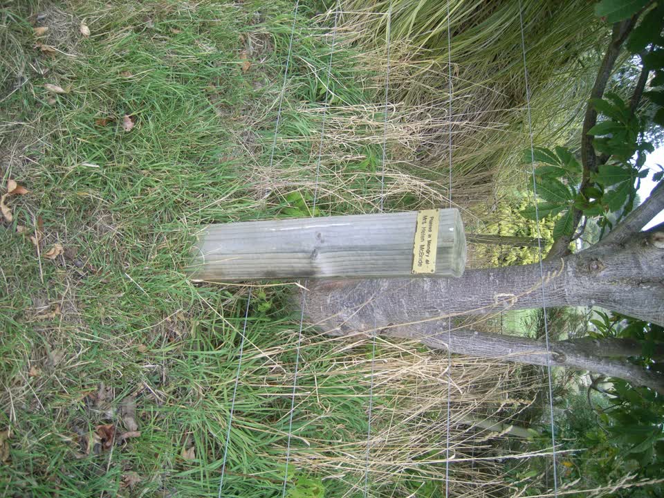 the register’s photograph of the plaque at Duvauchelle Showgrounds