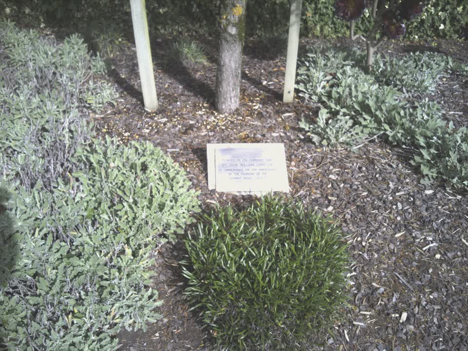 the register’s photograph of the plaque at Cracroft Reserve