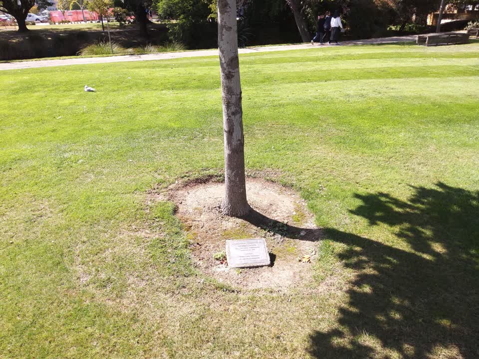 the register’s photograph of the plaque at Avon Riverbank Central City