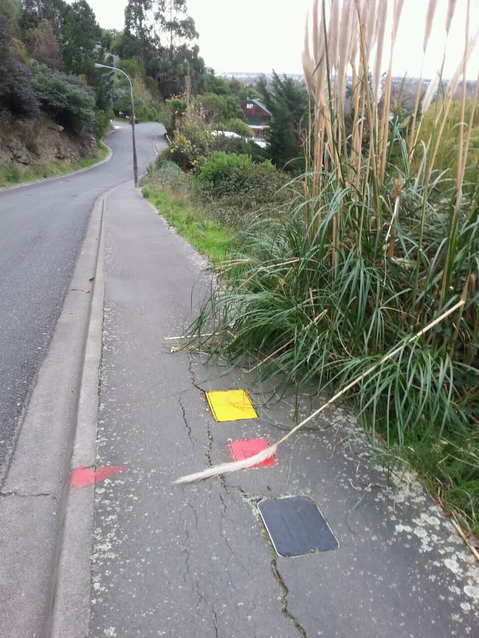 The photograph attached to this water supply report