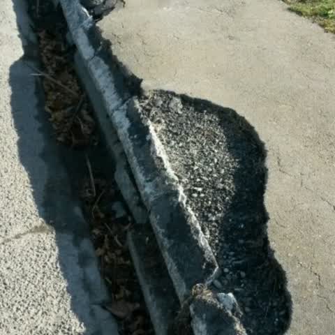 Roading/Streets, a report photo