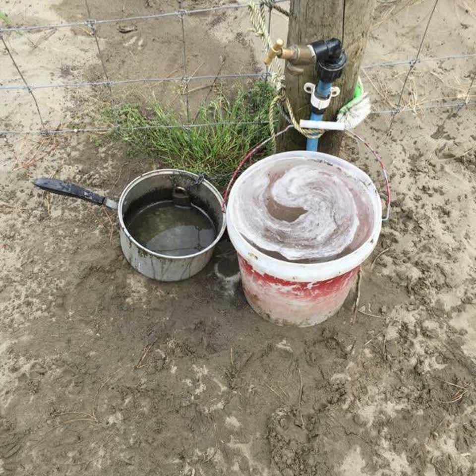 The photograph attached to this parks report
