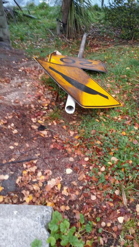 Roading/Streets, a report photo