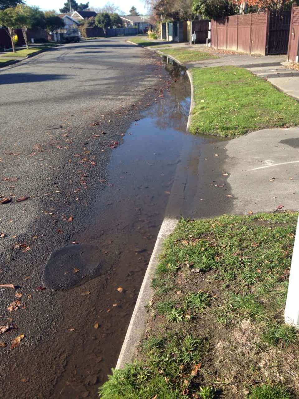 The photograph attached to this roading/streets report