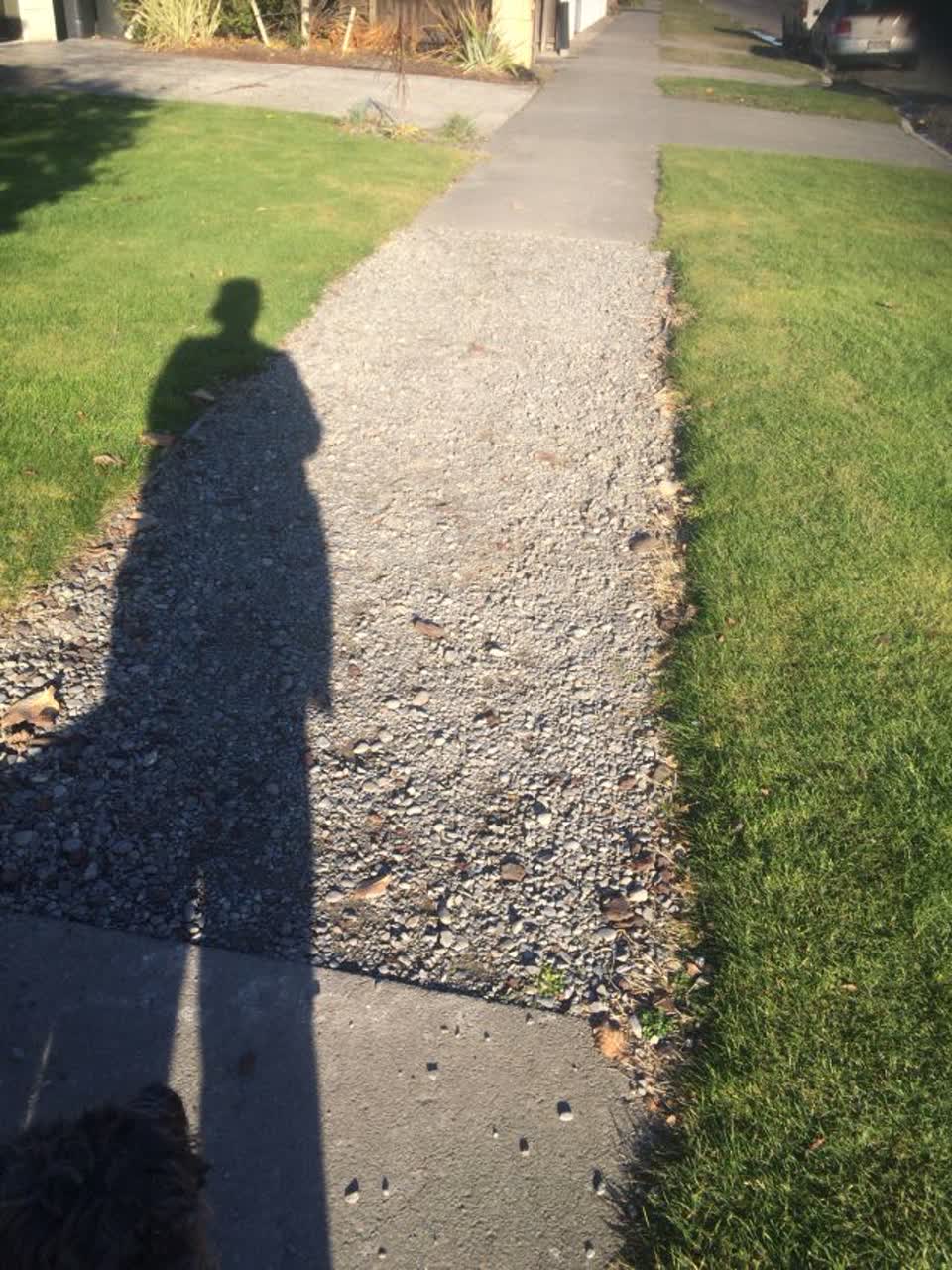 The photograph attached to this roading/streets report
