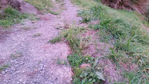 Parks, a report photo