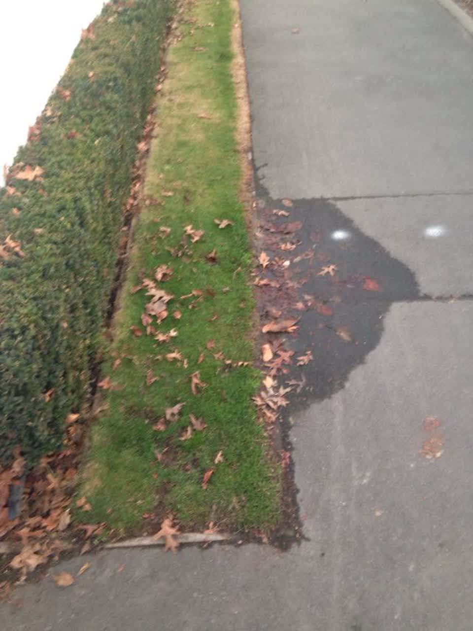 The photograph attached to this water supply report