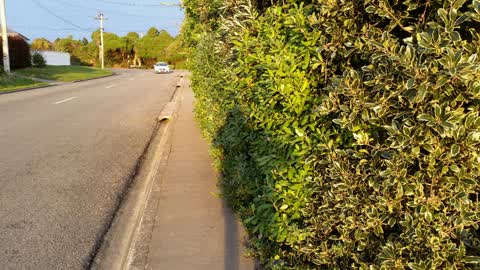Roading/Streets, a report photo